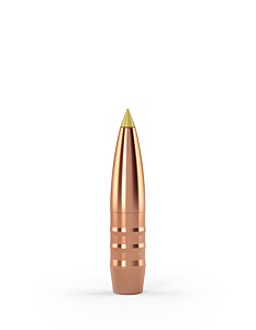 Palle Crockett 6mm(6,17mm) 76grs punta appuntita TWENTY-NINE
