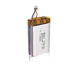 Batteria Ricaricabile TEK 1.0/TEK 1.5 Sportdog