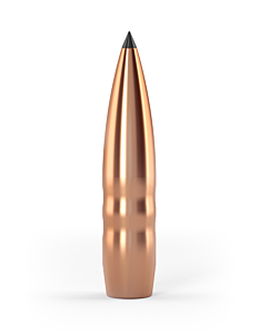 Palle Crockett .408(10,36mm) 427grs punta appuntita TWENTY-NINE