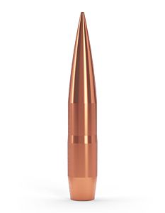 Palle Coubertin .375 (9,55mm) 407grs punta solida TWENTY-NINE