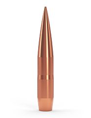 Palle Coubertin .375 (9,55mm) 407grs punta solida TWENTY-NINE