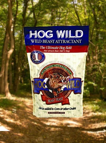 HOG WILD