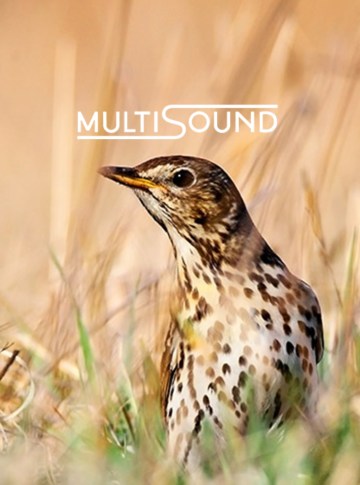 multisound