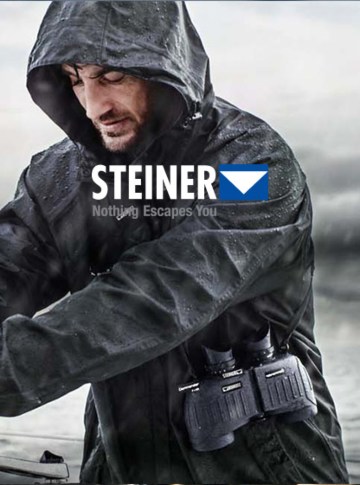 Steiner